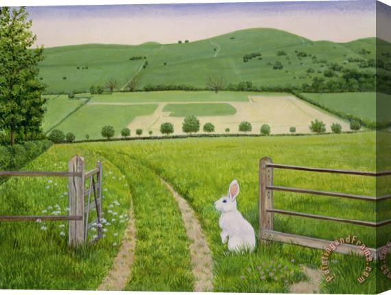 Ditz Spring Rabbit Stretched Canvas Painting / Canvas Art