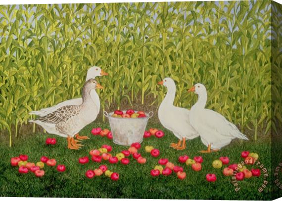 Ditz Sweetcorn Geese Stretched Canvas Print / Canvas Art