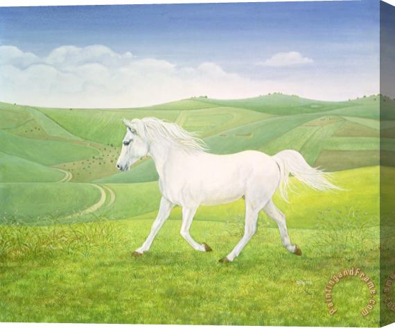Ditz The Landscape Horse Stretched Canvas Print / Canvas Art