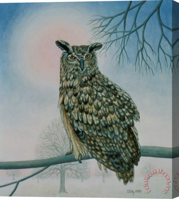 Ditz Winter Owl Stretched Canvas Painting / Canvas Art