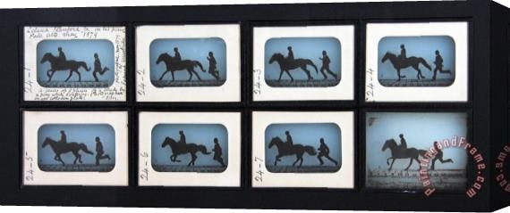 Eadweard J. Muybridge Leland Stanford Jr. on His Pony Gypsy Stretched Canvas Painting / Canvas Art