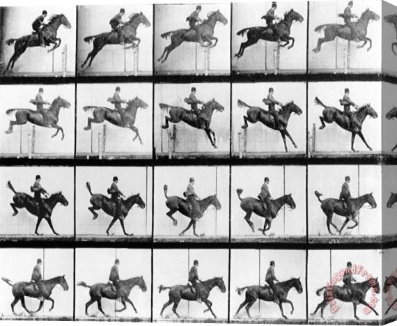 Eadweard Muybridge Man And Horse Jumping Stretched Canvas Print / Canvas Art