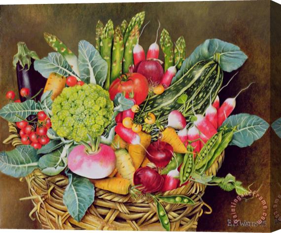 EB Watts Summer Vegetables Stretched Canvas Print / Canvas Art