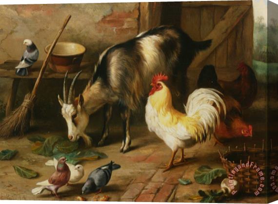 Edgar Hunt A Goat Chicken And Doves in a Stable Stretched Canvas Print / Canvas Art