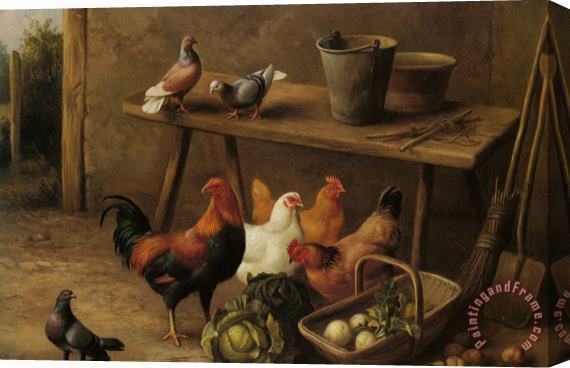 Edgar Hunt Chickens And Pigeons in a Farmyard Stretched Canvas Print / Canvas Art