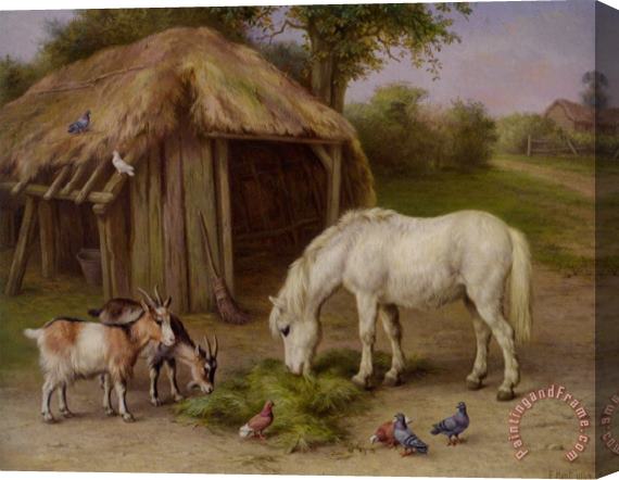 Edgar Hunt Pony And Goats in a Farmyard Stretched Canvas Painting / Canvas Art