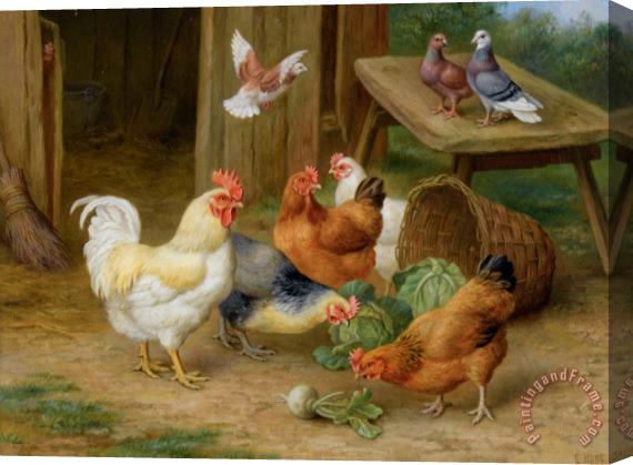Edgar Hunt The Pecking Order Stretched Canvas Painting / Canvas Art