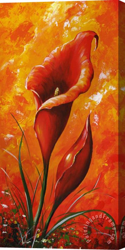 Edit Voros My flowers - Red kala Stretched Canvas Painting / Canvas Art