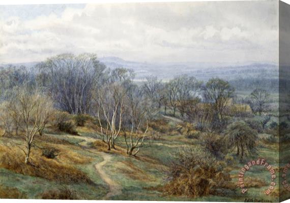 Edith Martineau Hampstead Heath Looking Towards Harrow On The Hill Stretched Canvas Print / Canvas Art