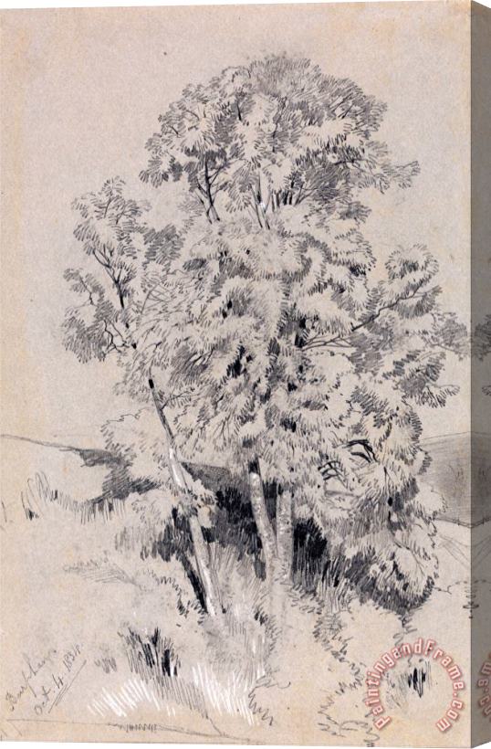Edward Lear Burpham Oct.4.1834 Stretched Canvas Print / Canvas Art