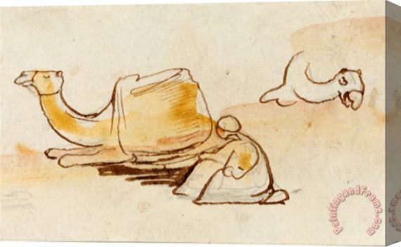 Edward Lear Camel Studies Stretched Canvas Print / Canvas Art