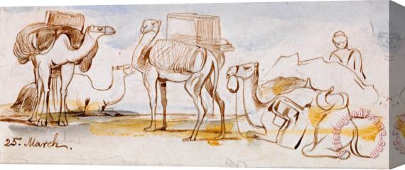 Edward Lear Camels Stretched Canvas Painting / Canvas Art