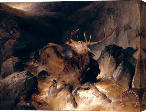 Edwin Landseer Deer And Deer Hounds in a Mountain Torrent Stretched Canvas Print / Canvas Art