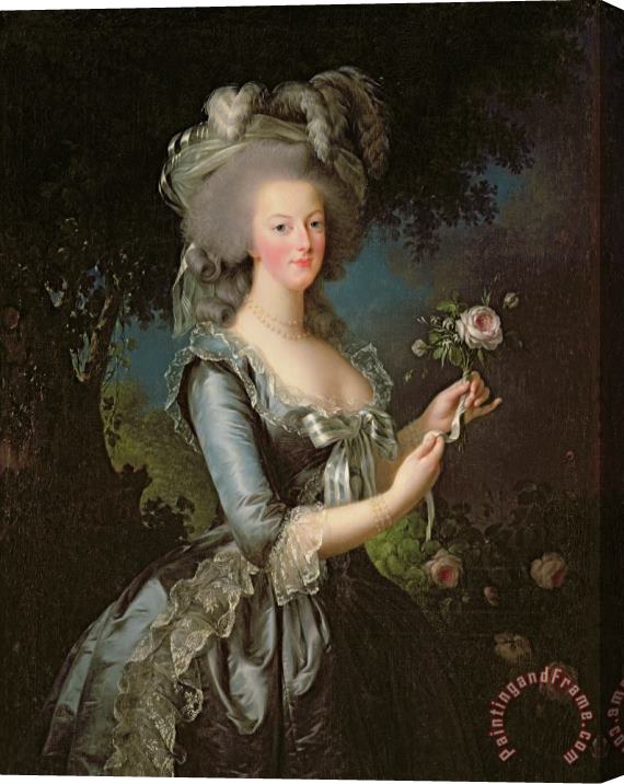Elisabeth Louise Vigee Lebrun Marie Antoinette Stretched Canvas Print / Canvas Art