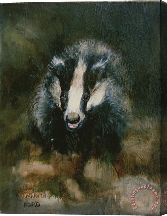 Ellie O Shea Badger Watching Stretched Canvas Painting / Canvas Art