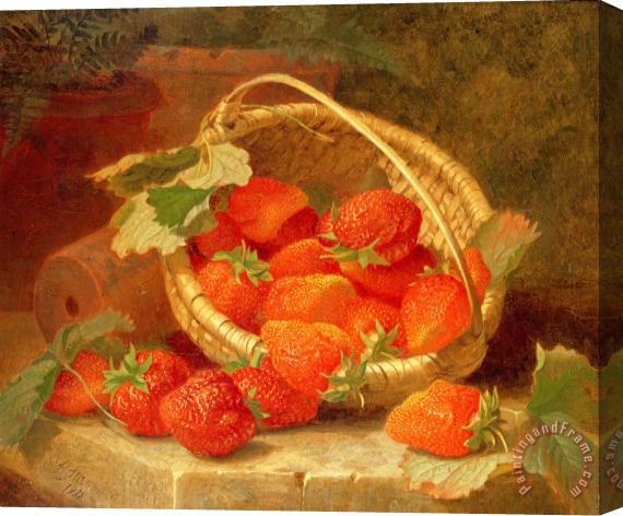 Eloise Harriet Stannard A Basket of Strawberries on a stone ledge Stretched Canvas Painting / Canvas Art