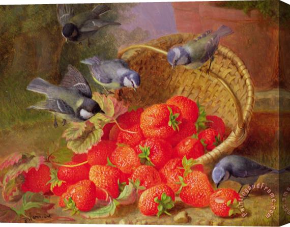 Eloise Harriet Stannard Still Life with Strawberries and Bluetits Stretched Canvas Print / Canvas Art