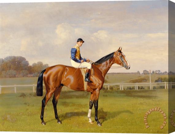 Emil Adam Spearmint Winner Of The 1906 Derby Stretched Canvas Print / Canvas Art