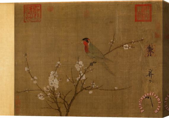 Emperor Huizong Five Colored Parakeet on a Blossoming Apricot Tree Stretched Canvas Painting / Canvas Art