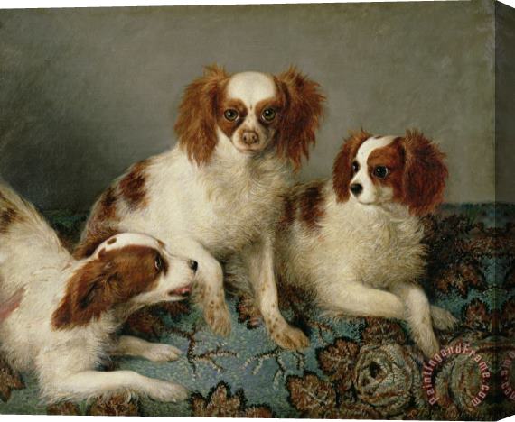 English School Three Cavalier King Charles Spaniels on a Rug Stretched Canvas Painting / Canvas Art