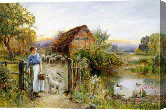 Ernest Walbourn Bringing Home The Sheep Stretched Canvas Print / Canvas Art