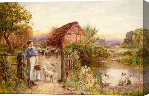 Ernest Walbourn Bringing Home the Sheep Stretched Canvas Print / Canvas Art