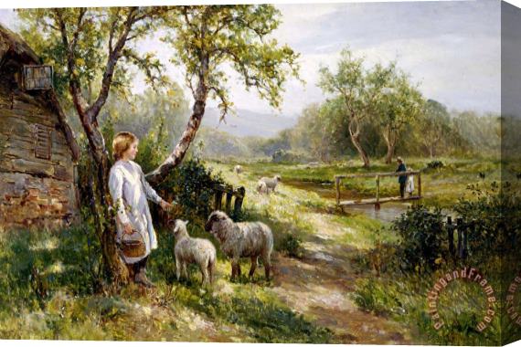 Ernest Walbourn Spring Lambs Stretched Canvas Print / Canvas Art