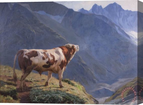 Eugene Burnand Bull in The Alps Stretched Canvas Print / Canvas Art