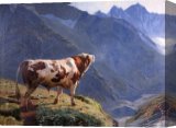 Buy Stretched Canvas Print Buy Stretched Canvas Print