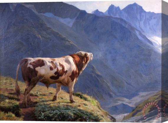 Eugene Burnand Taureau Dans Les Alpes 1884 Stretched Canvas Print / Canvas Art