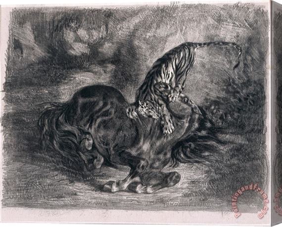 Eugene Delacroix Cheval Sauvage Terrasse Par Un Tigre (wild Horse Felled by a Tiger) Stretched Canvas Print / Canvas Art