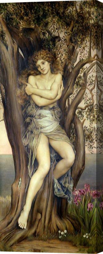 Evelyn De Morgan The Dryad Stretched Canvas Painting / Canvas Art