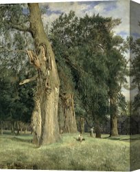Georg Pauli Canvas Prints - Old elms in Prater by Ferdinand Georg Waldmuller