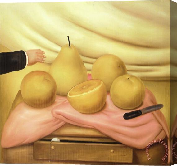 fernando botero Still Life with Fruits Stretched Canvas Painting / Canvas Art