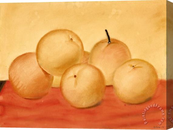Fernando Botero Still Life with Oranges, 1979 Stretched Canvas Print / Canvas Art