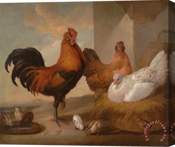 Francis Barlow Domestic Cock, Hens, And Chicks Stretched Canvas Painting / Canvas Art