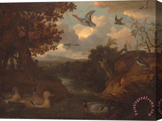 Francis Barlow Ducks And Other Birds About a Stream in an Italianate Landscape Stretched Canvas Print / Canvas Art