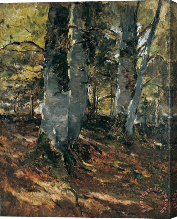 Frank Duveneck Beechwoods at Polling Bavaria Stretched Canvas Painting / Canvas Art