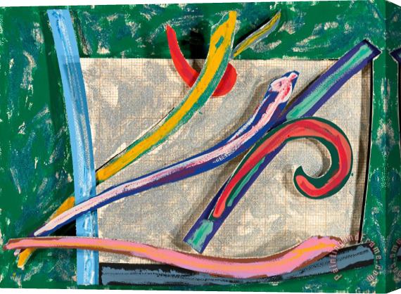 Frank Stella Bermuda Petrel Stretched Canvas Print / Canvas Art