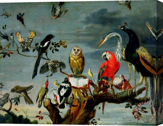 Frans Snijders Concert of Birds Stretched Canvas Print / Canvas Art