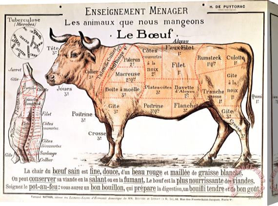 French School Beef Stretched Canvas Painting / Canvas Art