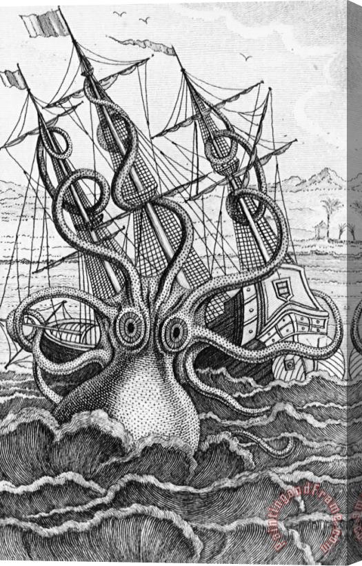 French School Giant Octopus Illustration From L Histoire Naturelle Generale Et Particuliere Des Mollusques Stretched Canvas Print / Canvas Art