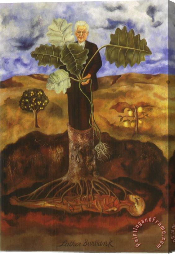 Frida Kahlo Portrait of Luther Burbank 1931 Stretched Canvas Print / Canvas Art