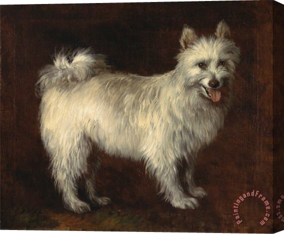 Gainsborough, Thomas Spitz Dog Stretched Canvas Print / Canvas Art