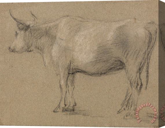 Gainsborough, Thomas Study of a Cow Stretched Canvas Print / Canvas Art