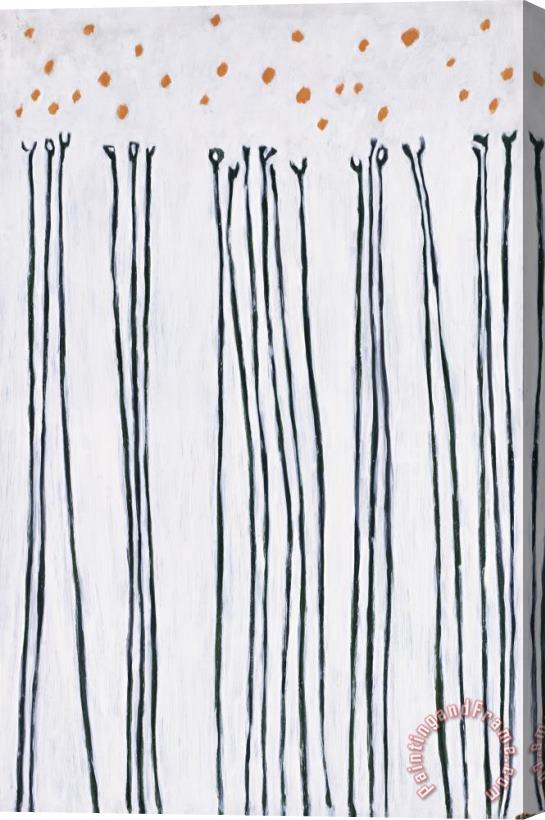 Gene Davis Black Flowers Stretched Canvas Print / Canvas Art