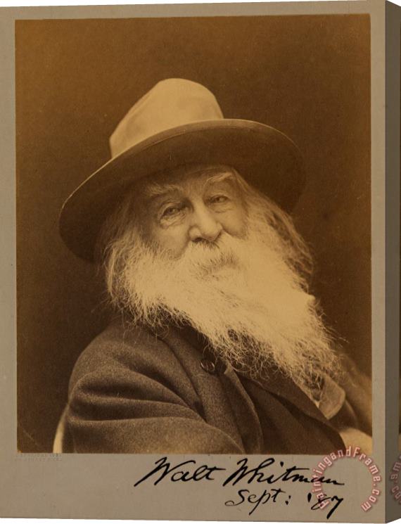 George C. Cox Walt Whitman Stretched Canvas Print / Canvas Art