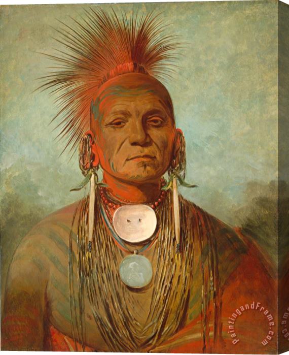 George Catlin See Non Ty A An Iowa Medicine Man Stretched Canvas Painting / Canvas Art