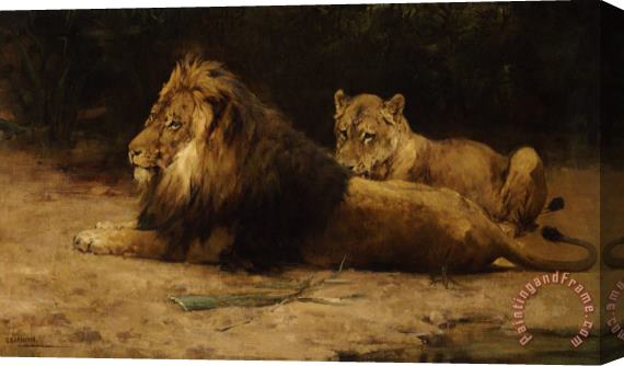 George Denholm Armour Lion And Lioness Stretched Canvas Painting / Canvas Art