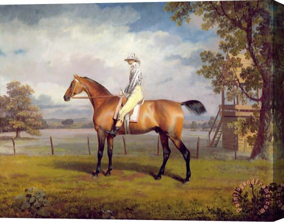 George Garrard The Duke of Hamilton's Disguise with Jockey Up Stretched Canvas Print / Canvas Art